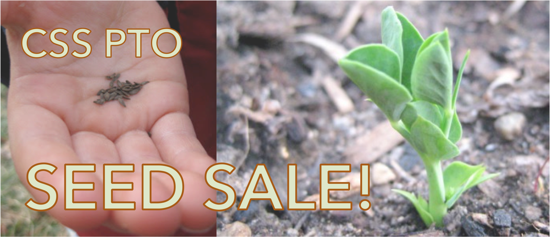 Buy seeds and support PTO!